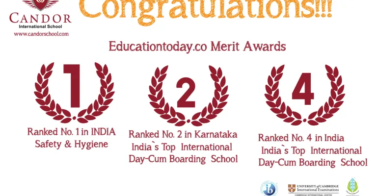 EducationToday.co. Merit Award