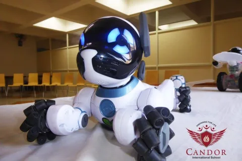Coding Robots @ Candor