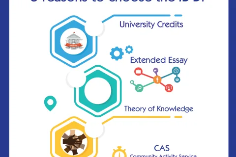 IBDP 1