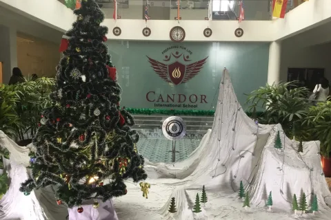 Christmas Tree Landscape