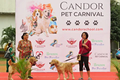 Candor Pet Carnival