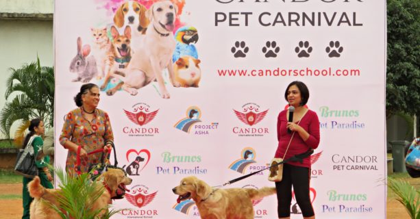 Candor Pet Carnival