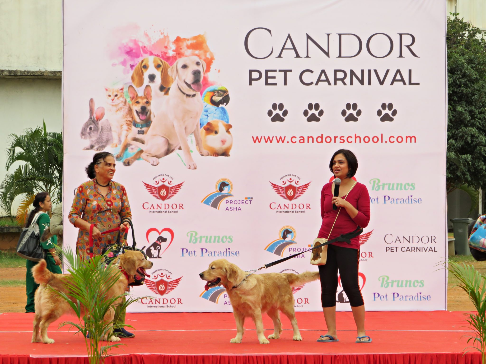 Candor Pet Carnival