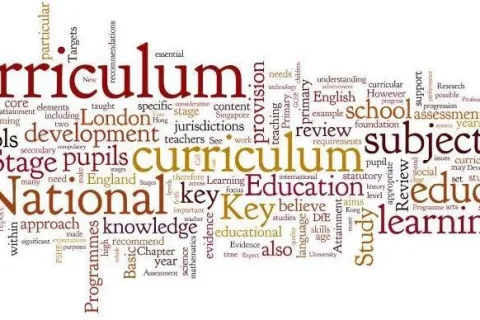 Curriculum