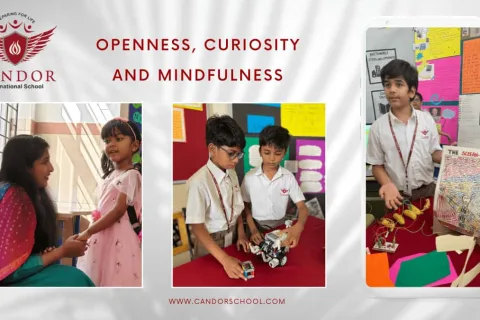 Openness, Curiosity and Mindfulness | Candor International School