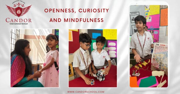 Openness, Curiosity and Mindfulness | Candor International School