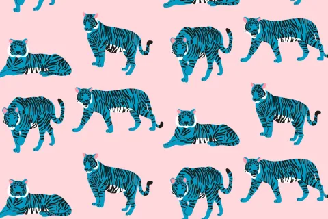 tigers-blog
