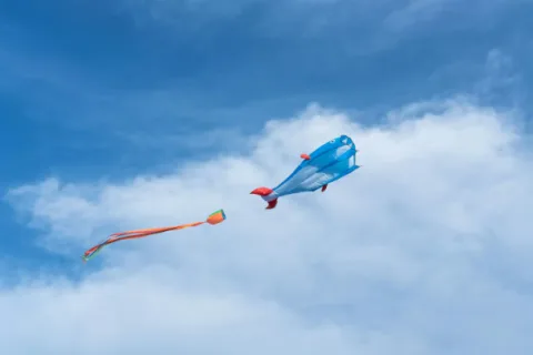 My Kite Flying So High