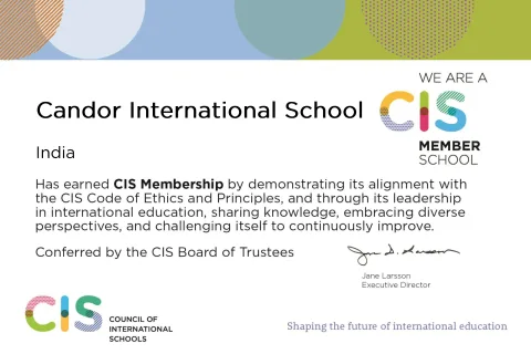 CIS - 2024
